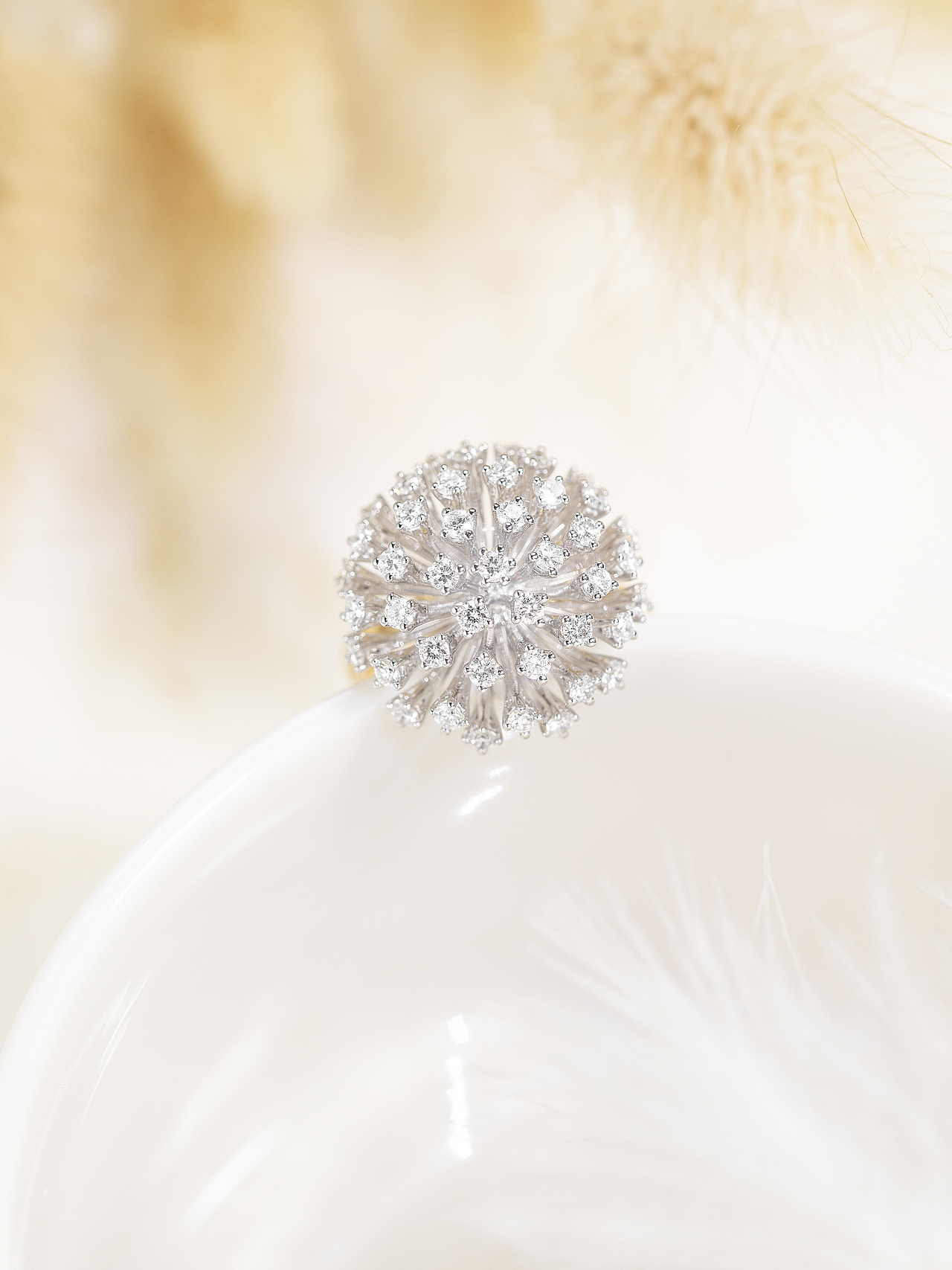 珠宝摄影-系列摄影【蒲公英-dandelion】