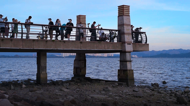 忙里偷闲,城市慢生活 | GIF动态摄影