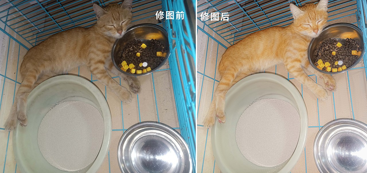 喵咪精修（图ZMzE1MjMwNDE2） - 修图/后期 - 站酷设计师程俊CJ原创素材 - 站酷ZCOOL