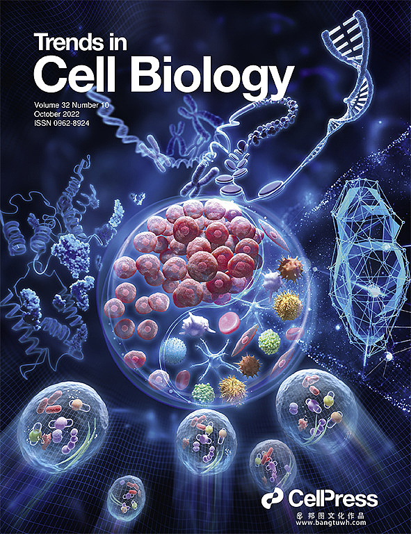 医学插画 学术期刊封面设计 科研绘图