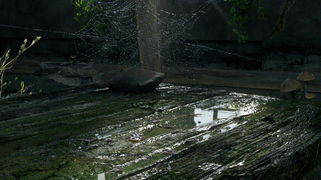 国风三维cg毕业短片——《琳琅》