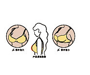 女装商标（图ZMzI4MjAxMTIw） - 商业插画 - 站酷设计师zhao迎pan原创素材 - 站酷ZCOOL