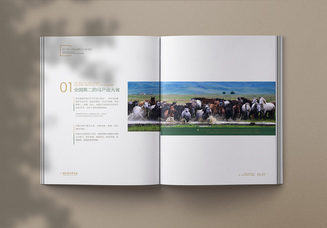 有禧设计 | 某省马术协会简介 伴手画册