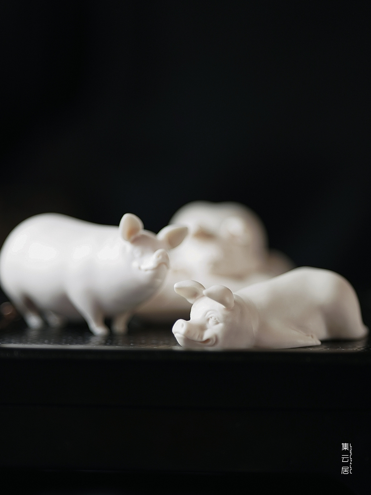 中国白·猪猪请趴好