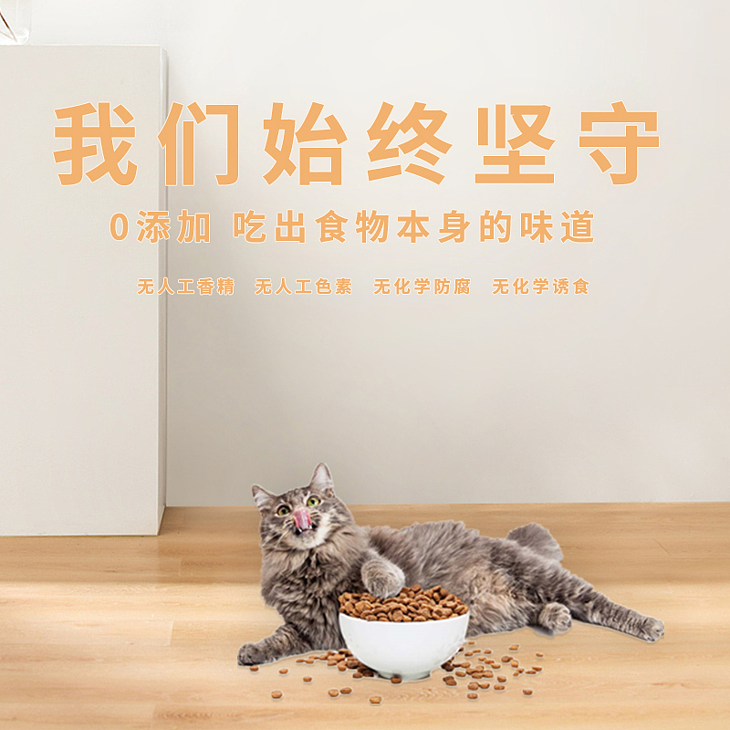 电商-美工--主图+直通车