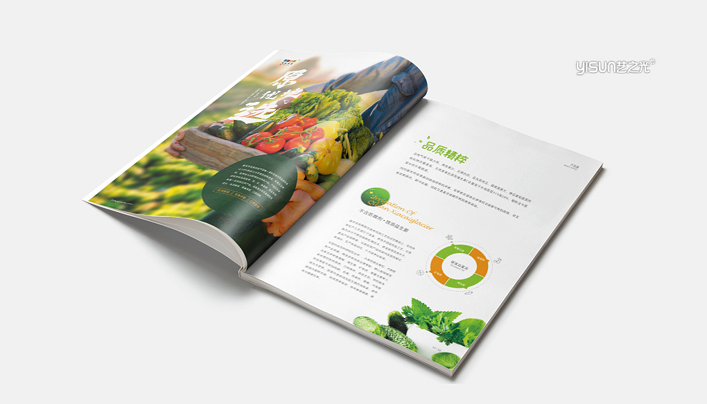 餐饮行业宣传册|画册设计|版式设计（图ZMzYxMDgzODc2） - 书籍/画册 - 站酷设计师艺之光专业画册原创素材 - 站酷ZCOOL