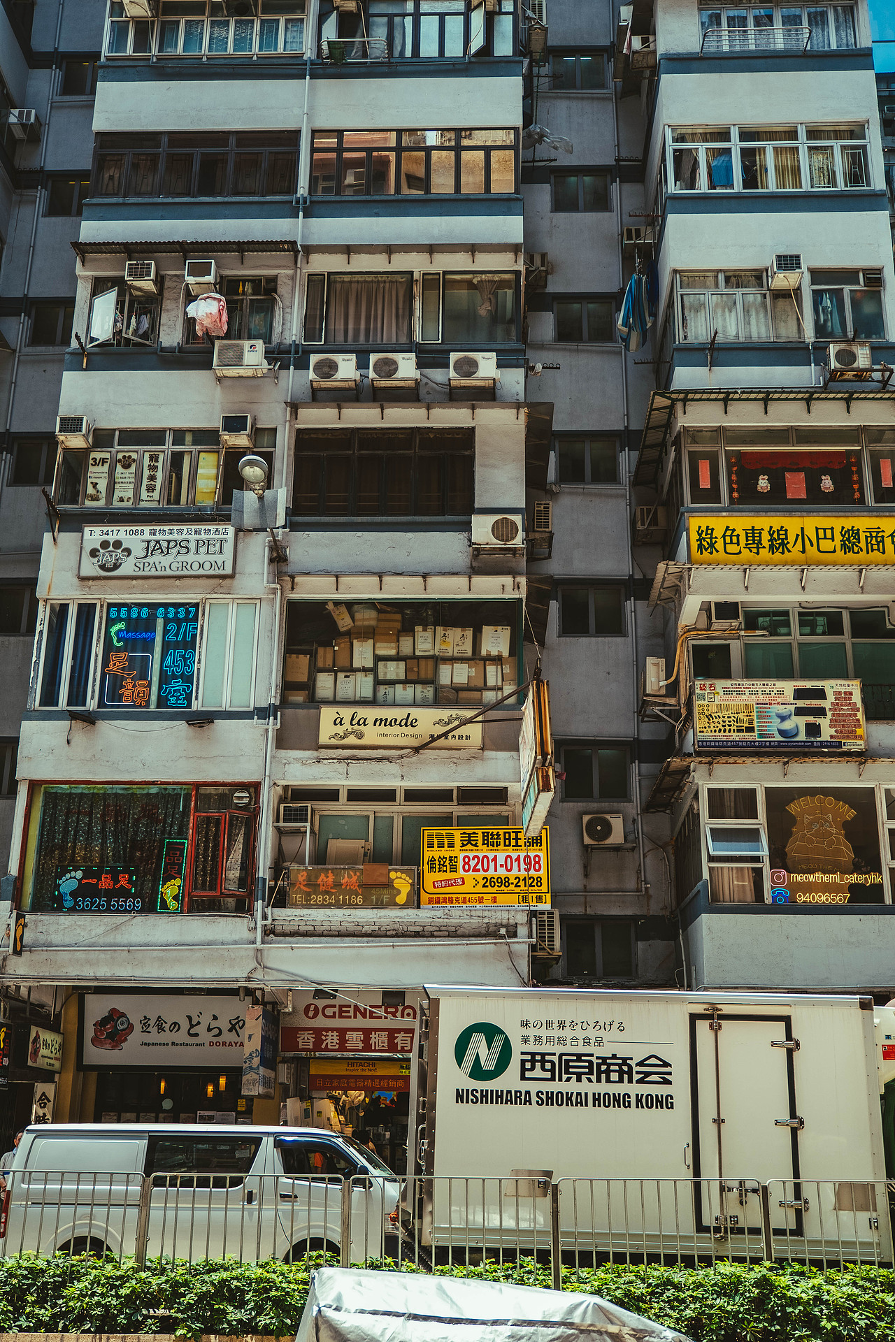 这里是，中国香港