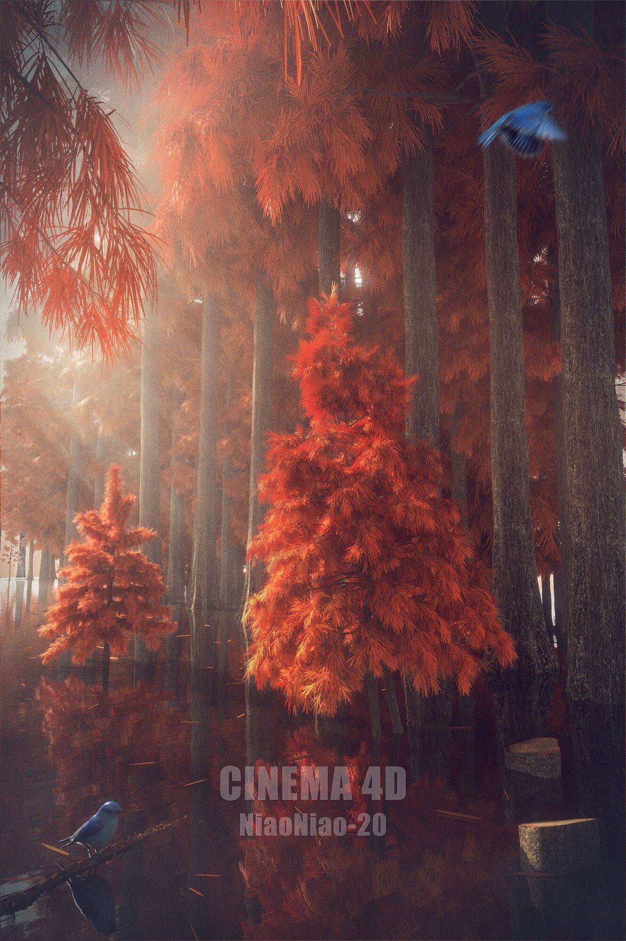 OC第二十期学员作品——NiaoNiao的C4D课堂（上)（图ZMzA2NjU2ODY4） - 场景 - 站酷设计师我就是NiaoNiao原创素材 - 站酷ZCOOL