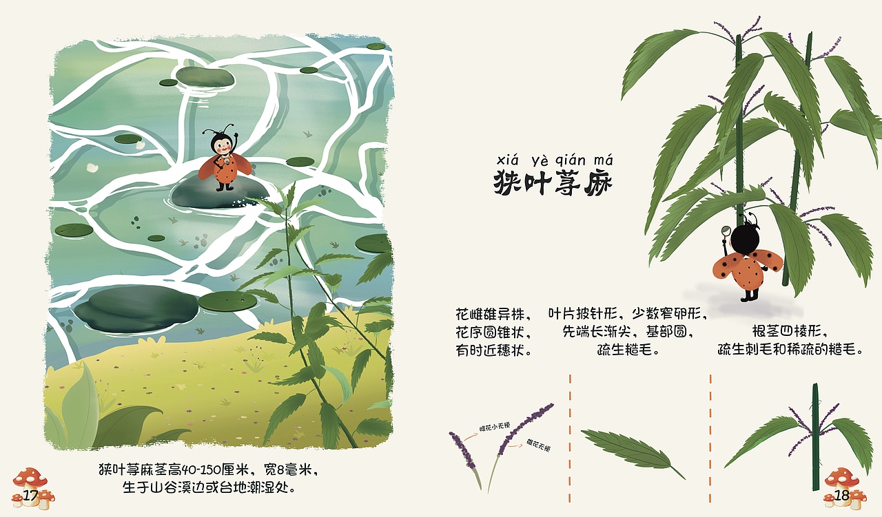 科普绘本：《嗨！荨麻》（图ZMzMwMDMwMTg0） - 绘本 - 站酷设计师BuGui不归原创素材 - 站酷ZCOOL