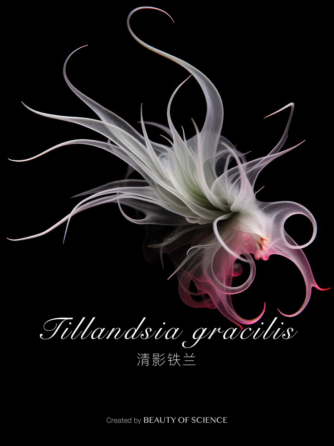 AI创作实验｜奇观之谷