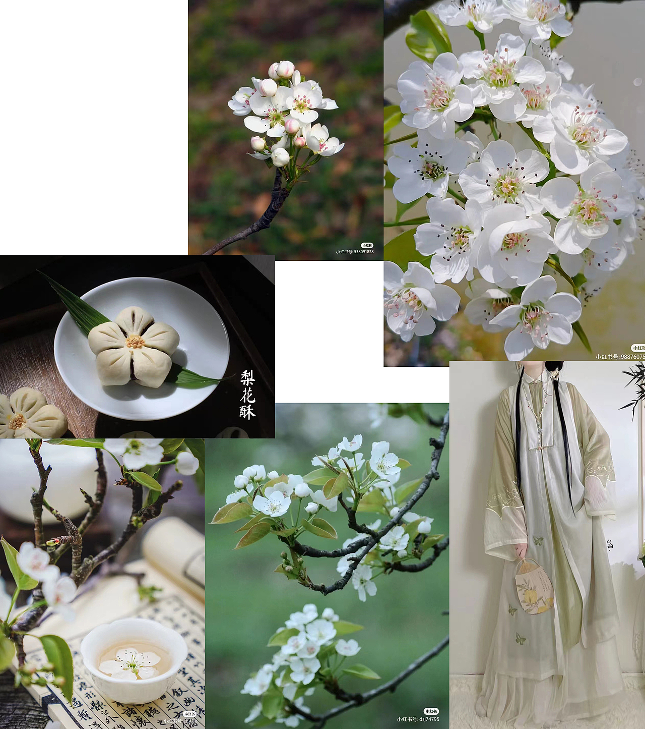 DAY64：iPad水彩分镜-梨花飘香（图ZMzExNjQ1NDcy） - 创作习作 - 站酷设计师Maggie_爱洛原创素材 - 站酷ZCOOL