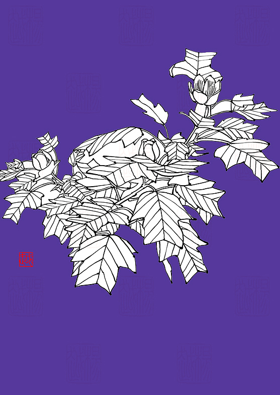 线描、插画、插图、花鸟