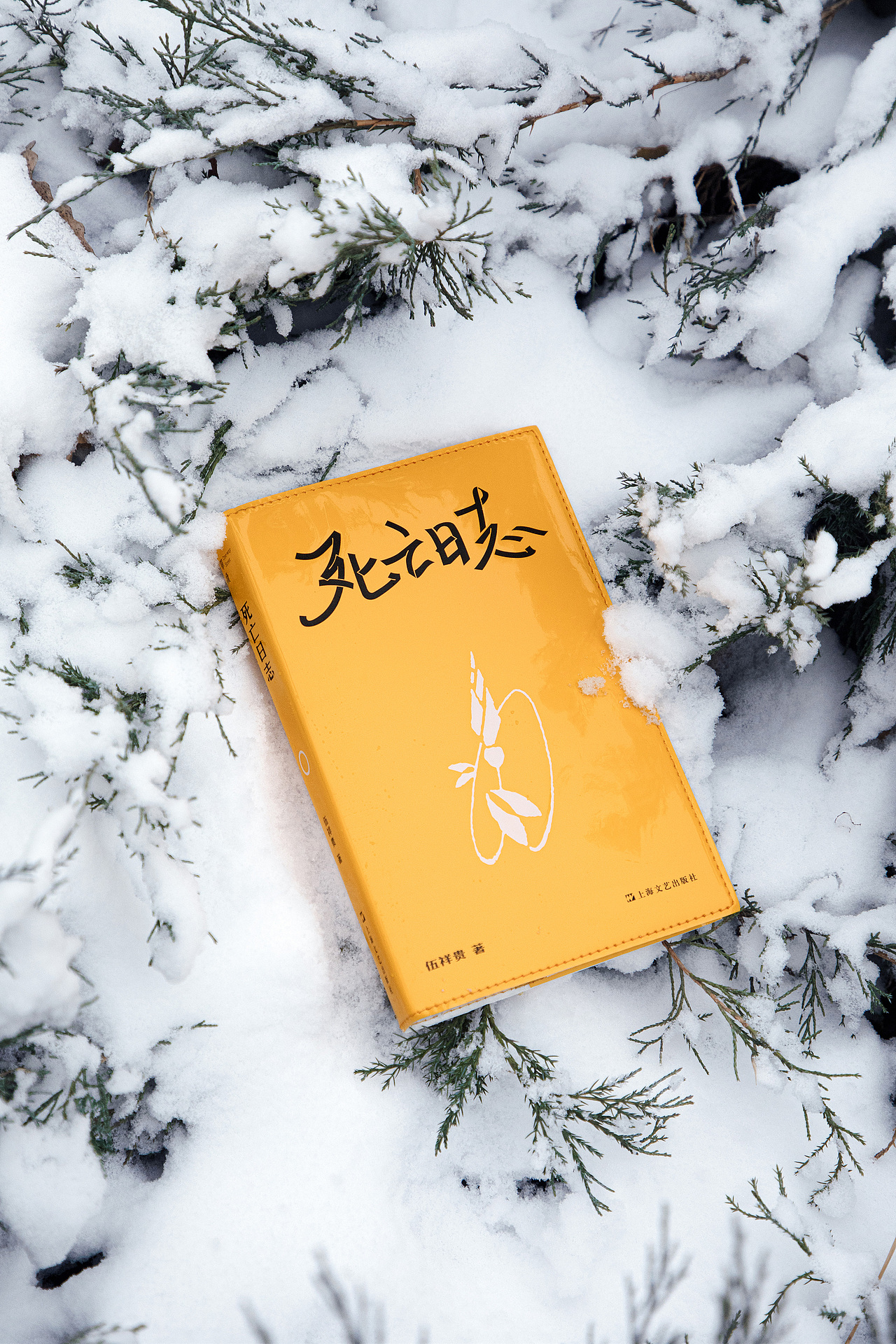 《死亡日志》(图ZMzU4NDQ0MDIw) - 书籍/画册 - 站酷设计师李政坷原创素材 - 站酷ZCOOL