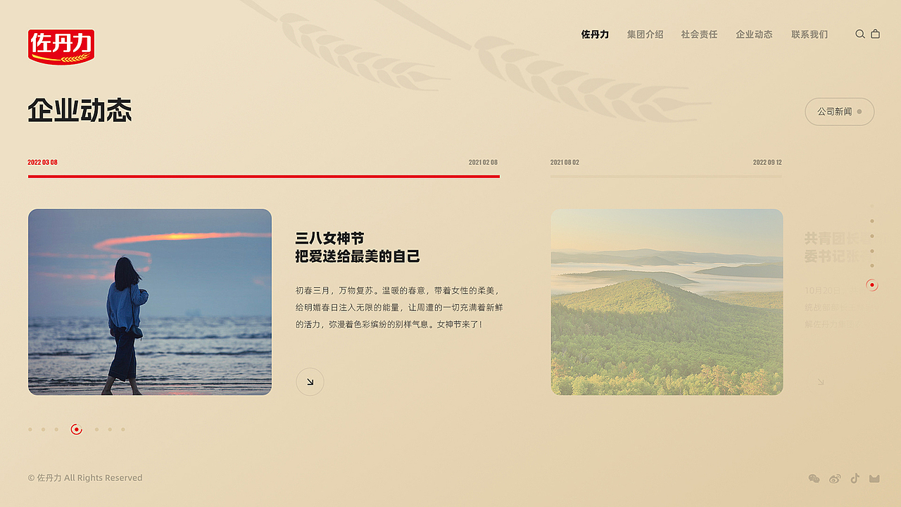 官网升级&大屏幕可视化&动画分享