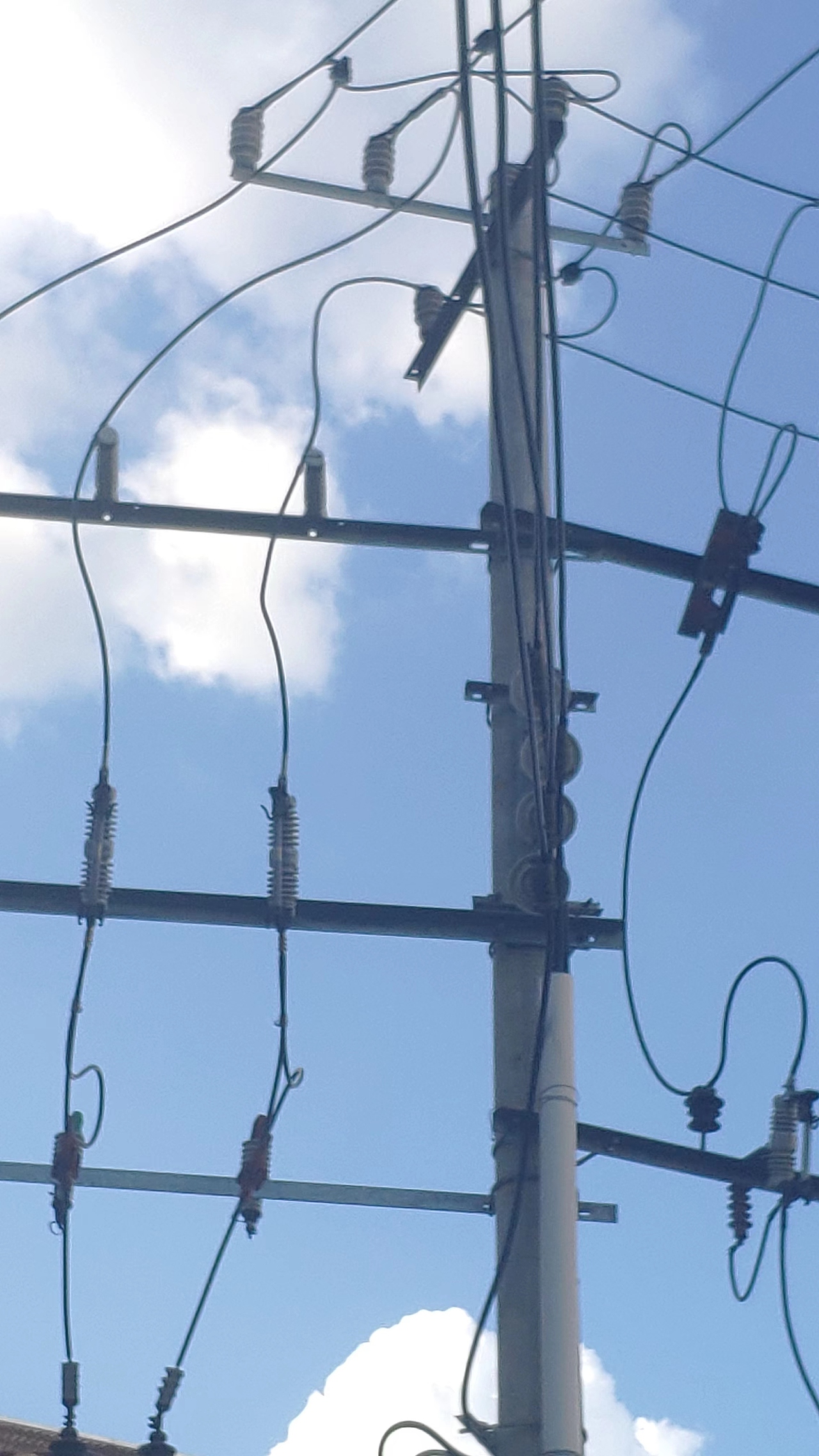 电线是有生命的