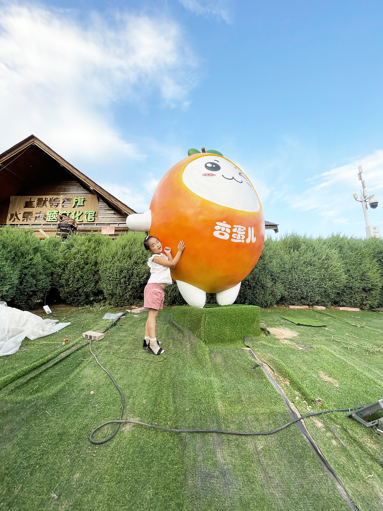 水果展厅落地完工照