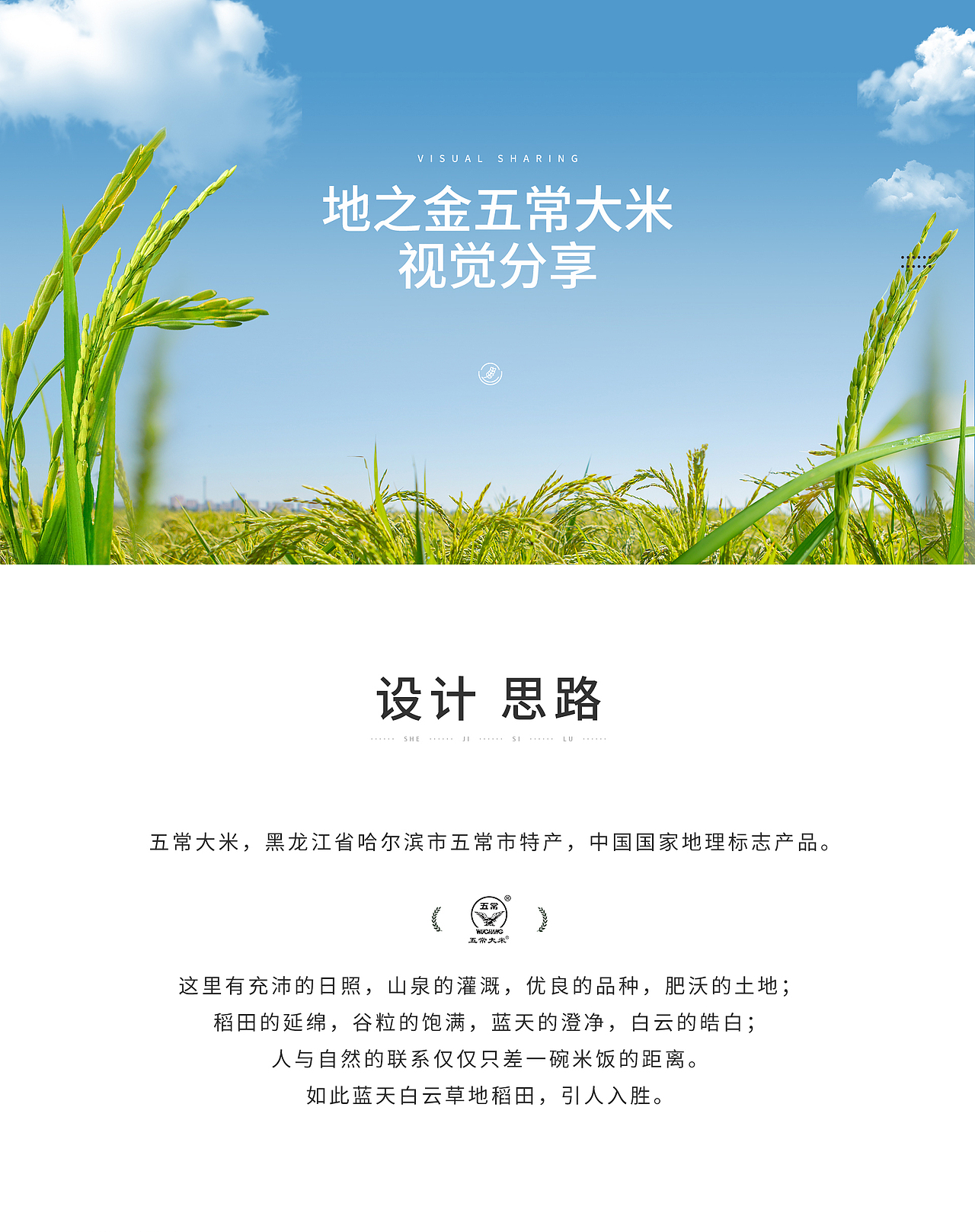 五常大米电商视觉分享