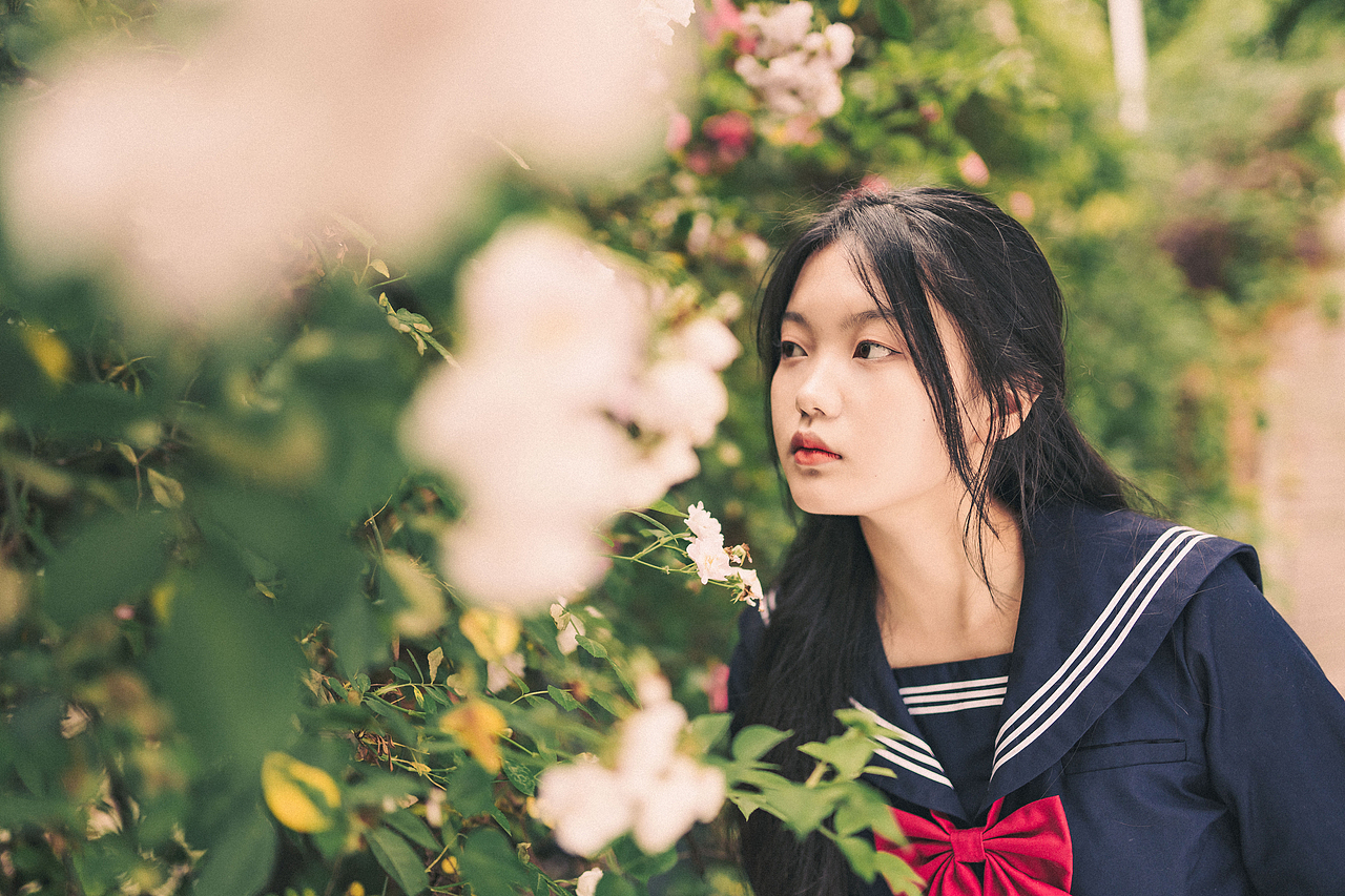 蔷薇花开（图ZMzQzMjQxODA0） - 人像摄影 - 站酷设计师鹅黄毛球原创素材 - 站酷ZCOOL