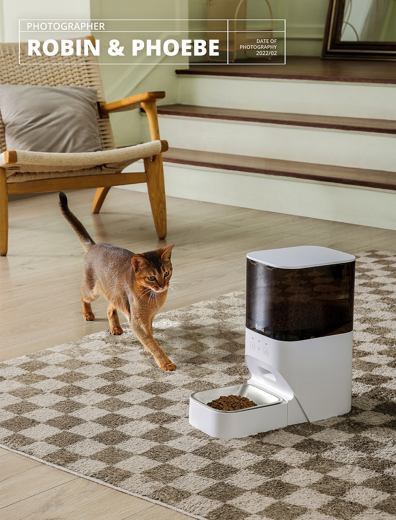 宠物用品拍摄 I Boqii x Robin&Phoebe