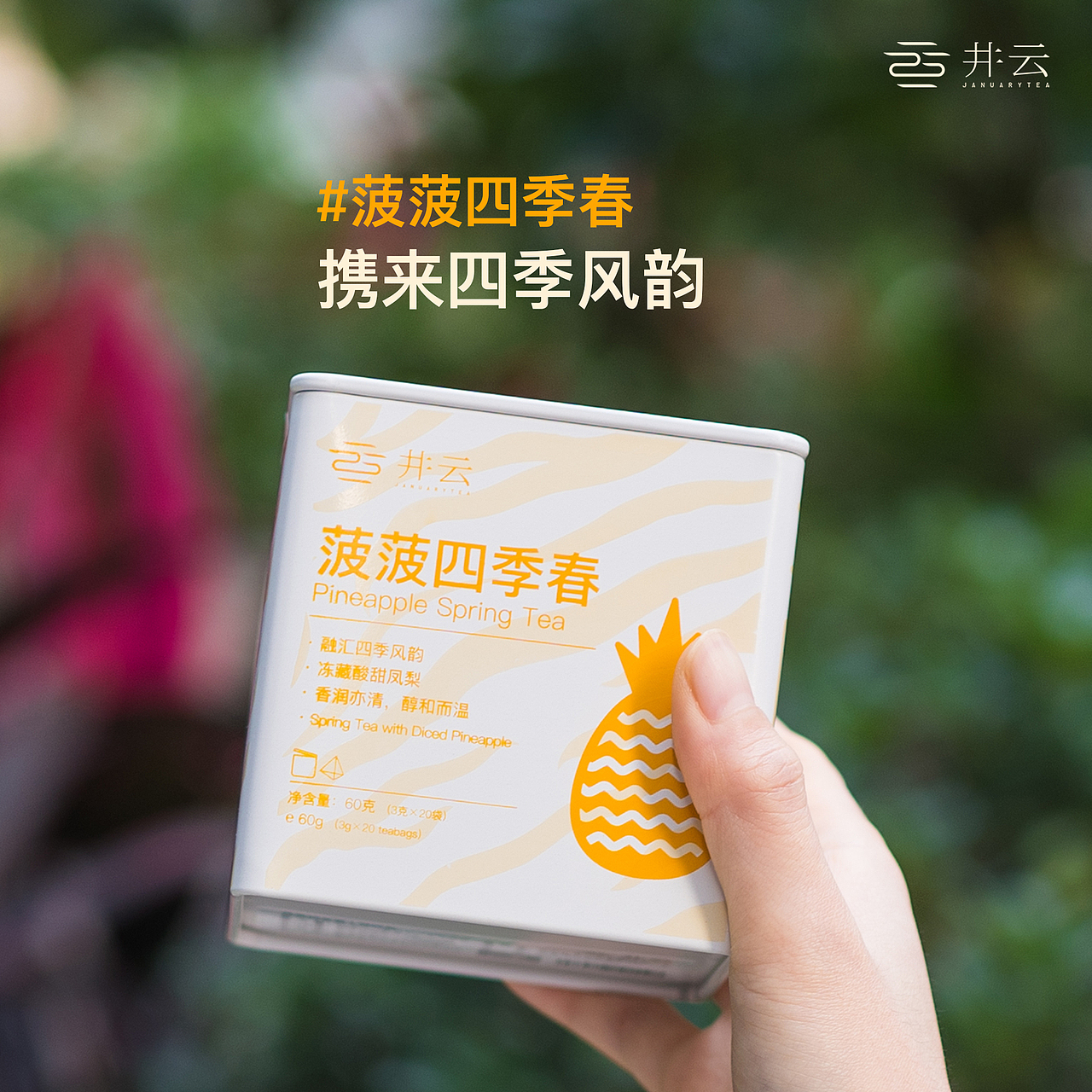 井云菠菠四季春礼罐-虎年限定包装设计（图ZMzEwNjczMzQ0） - 包装 - 站酷设计师钱西瓜原创素材 - 站酷ZCOOL