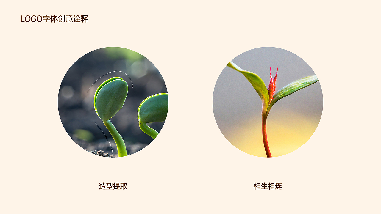 食养百素©️营养食品品牌全案设计