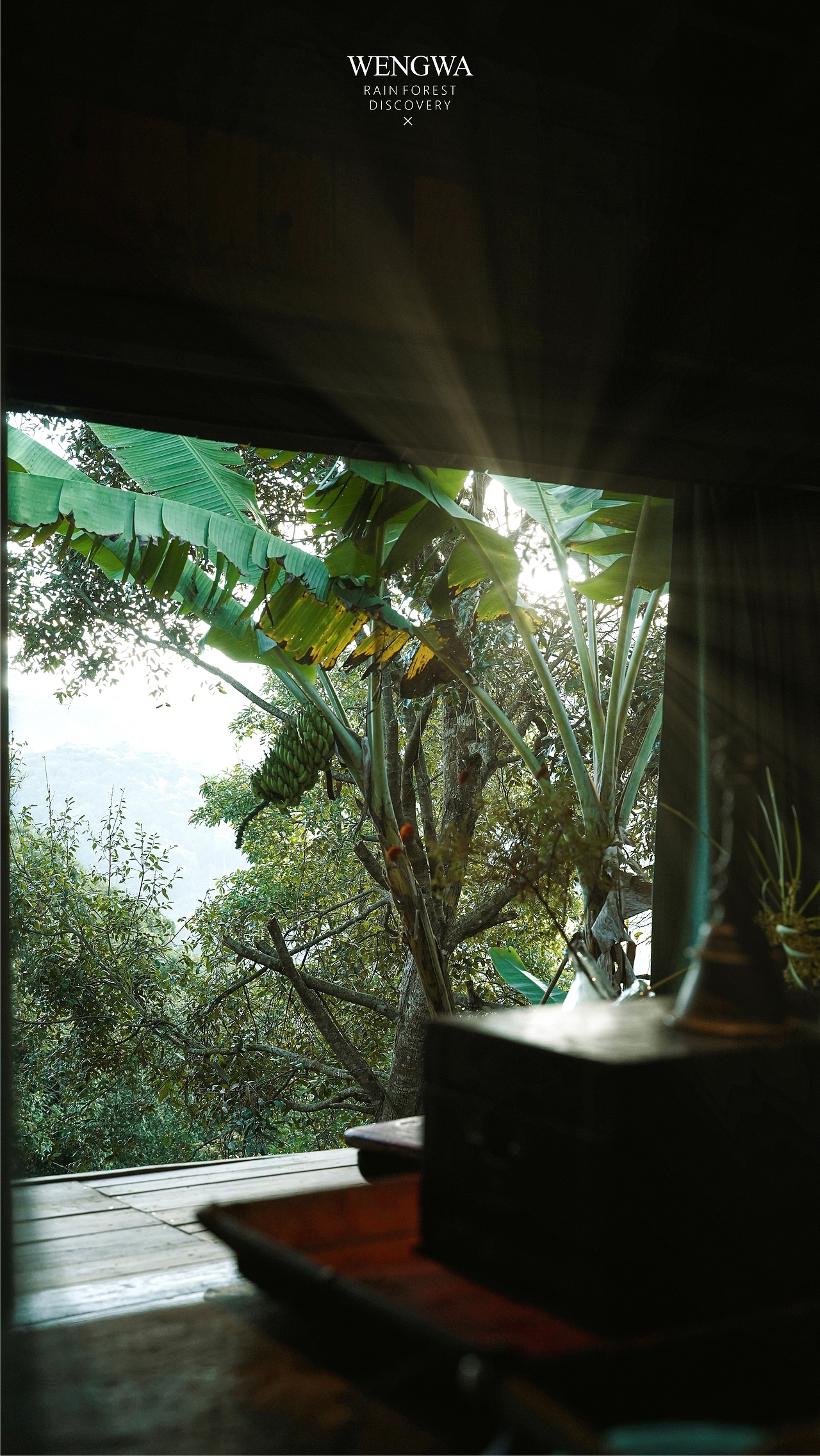 翁洼雨林探索 X 野奢民宿