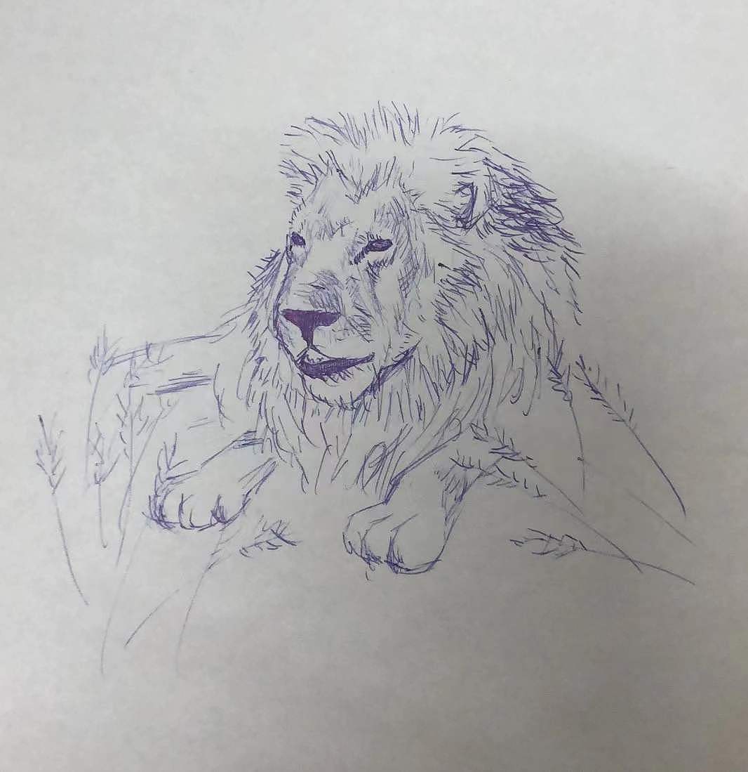 手绘速写打卡23（图ZMzI1NTM0NTI4） - 创作习作 - 站酷设计师老林学画画原创素材 - 站酷ZCOOL