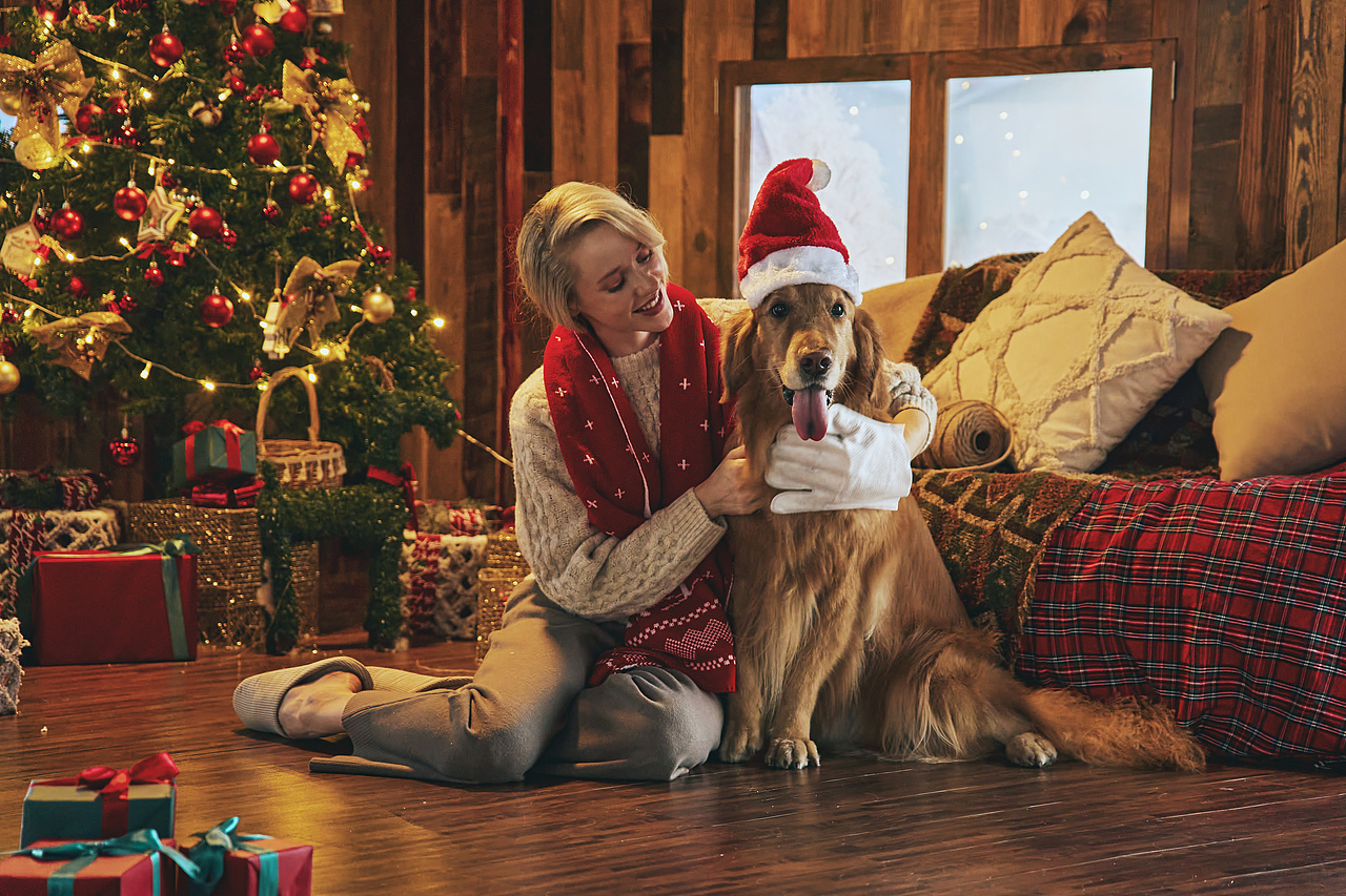 商业拍摄-宠物护理产品圣诞节主题拍摄