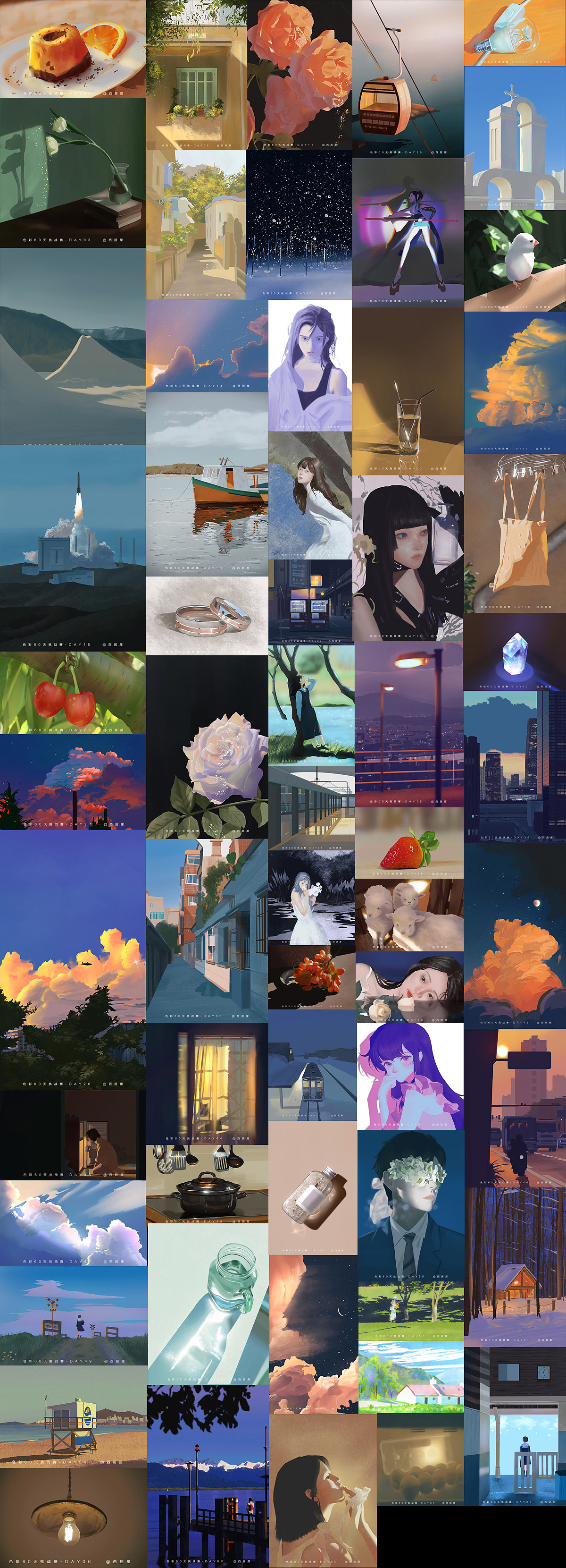 色彩60天挑战赛总结