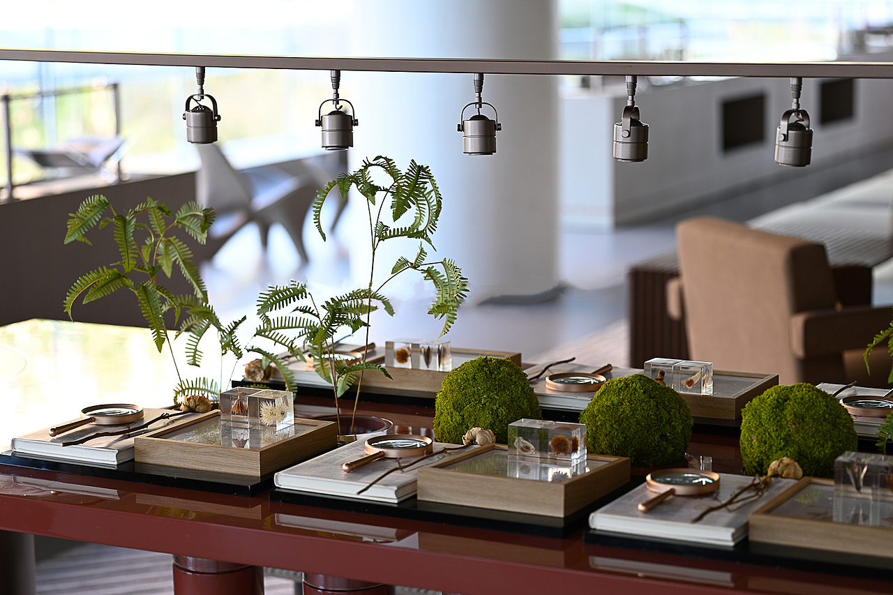 JLa设计集团×长春保利城|追光·朝阳生长