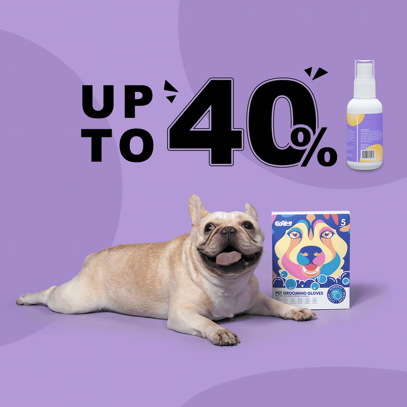 HICC GROOM 亚马逊宠物喷雾创意视频