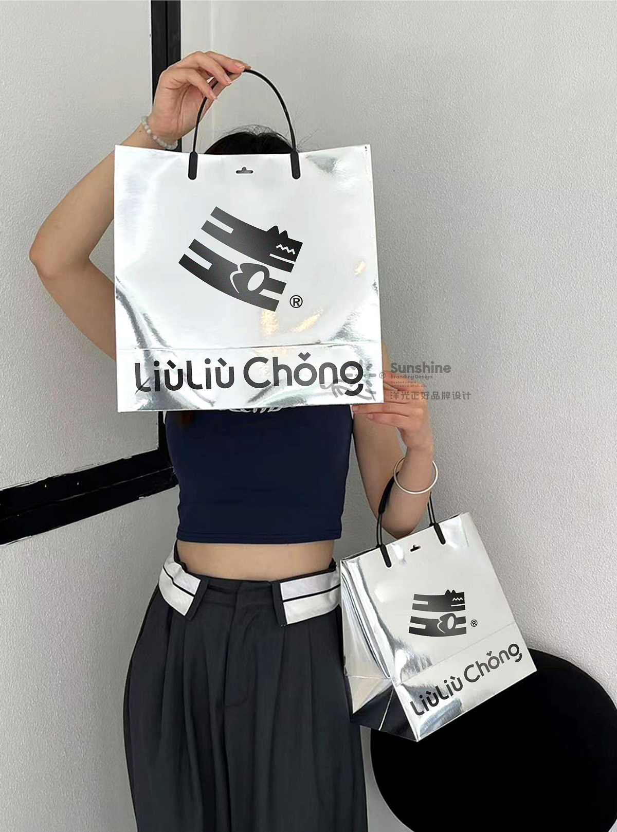 宠物LOGO 宠物包装 LOGO设计 宠物品牌设计 vi vi设计