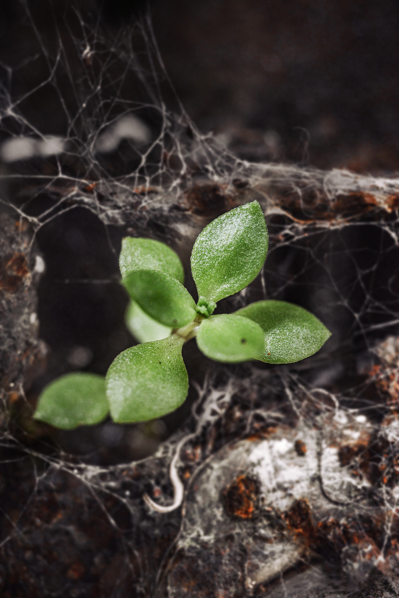 那些记录下的照片