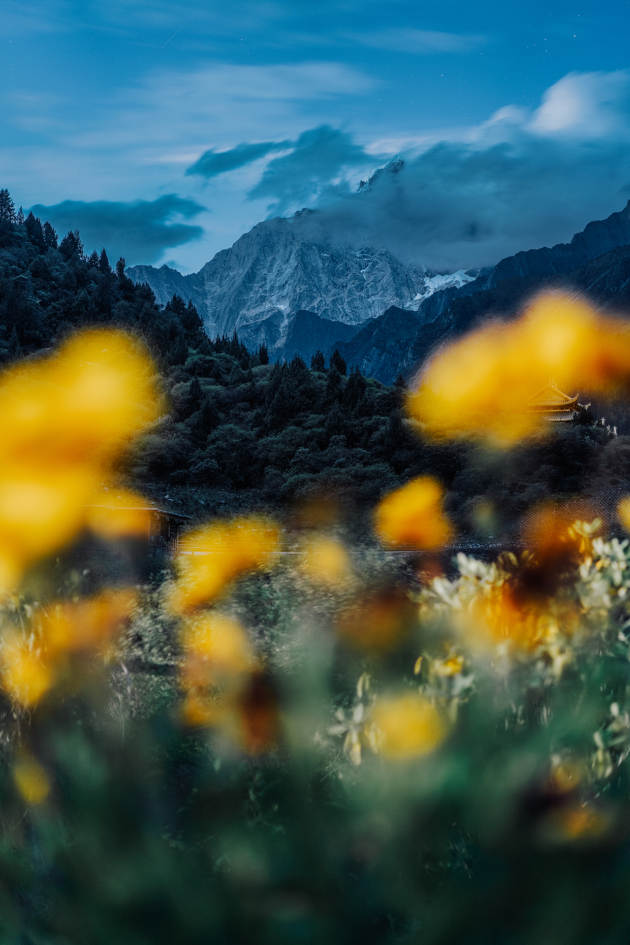 日落后的蓝调时刻,黄花儿、寺庙、森林还有四姑娘山就这样若隐若现还有远处的繁星点点