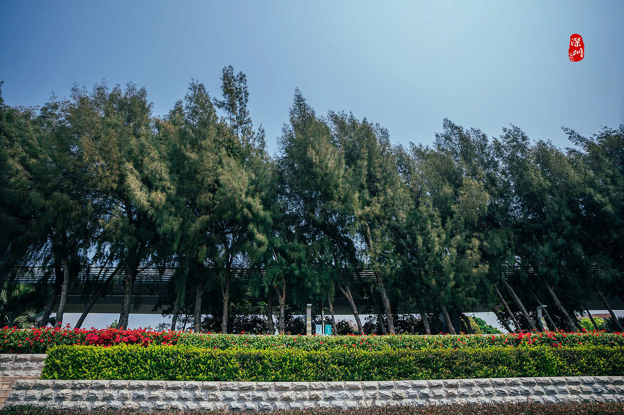 旅行摄影·深圳行(风光篇)