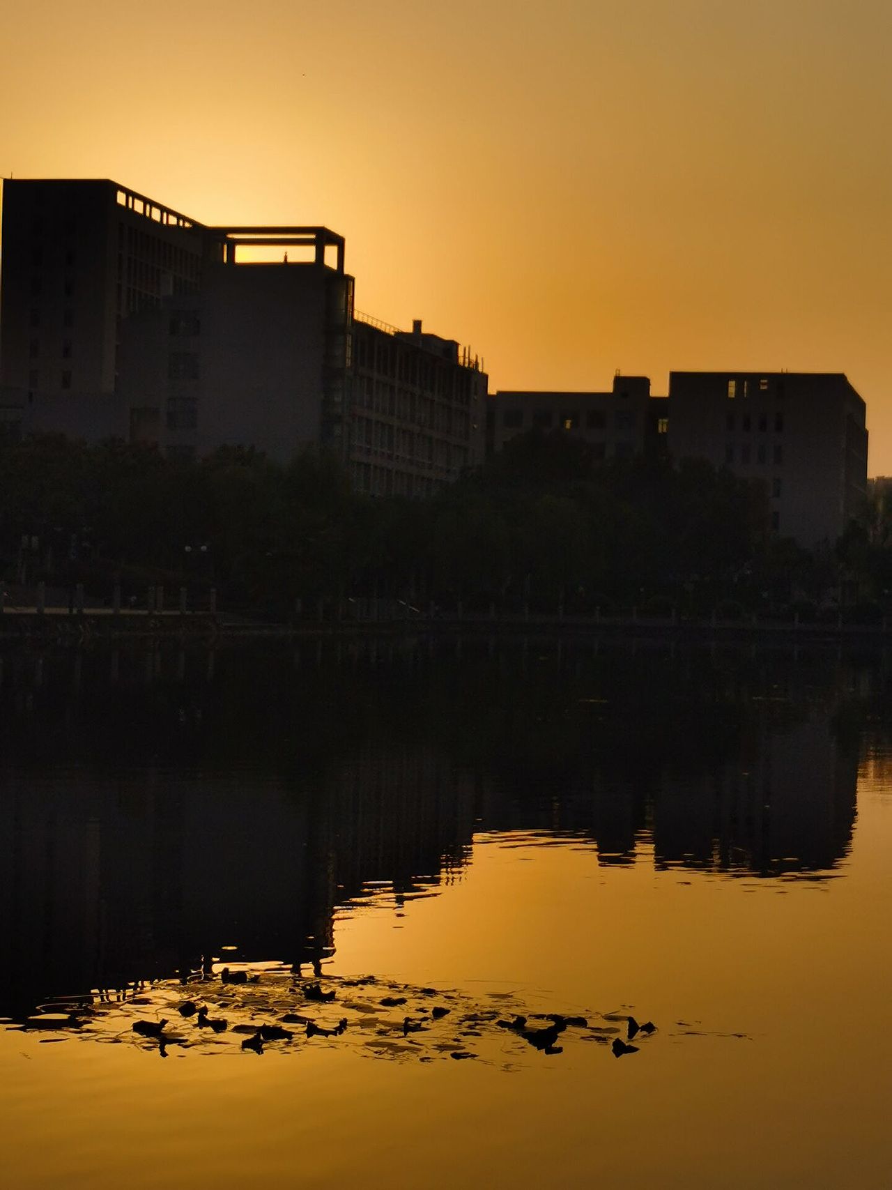 手机摄影丨图书馆-恒青湖-教室（图ZMzA0NTgyODI0） - 环境/建筑摄影 - 站酷设计师芙芙fufu原创素材 - 站酷ZCOOL