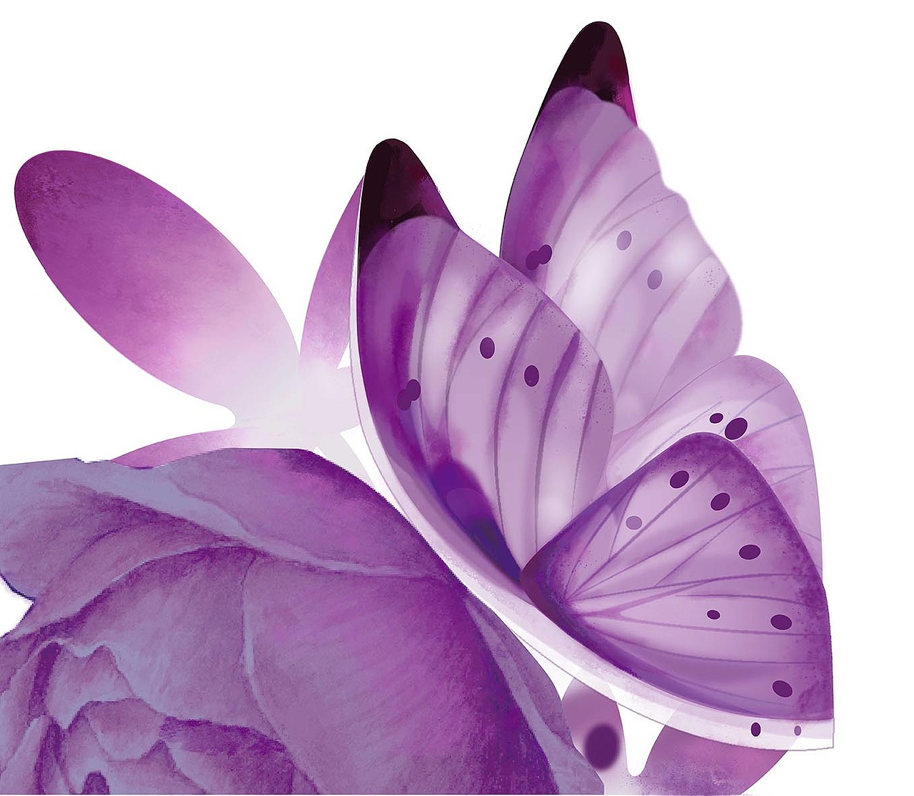 数位板手绘（图ZMzY1MTU5ODI4） - 商业插画 - 站酷设计师IVYTU原创素材 - 站酷ZCOOL