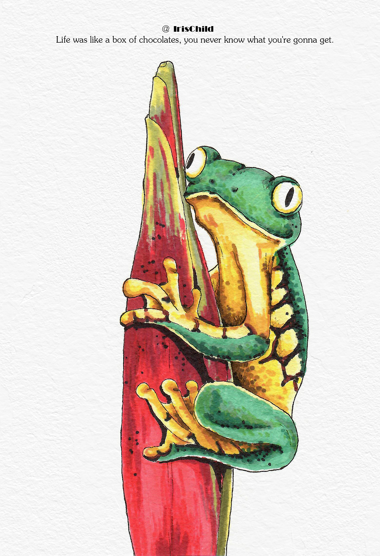 马克手绘练习（图ZMzMyMTg4MTk2） - 创作习作 - 站酷设计师IrisChild原创素材 - 站酷ZCOOL