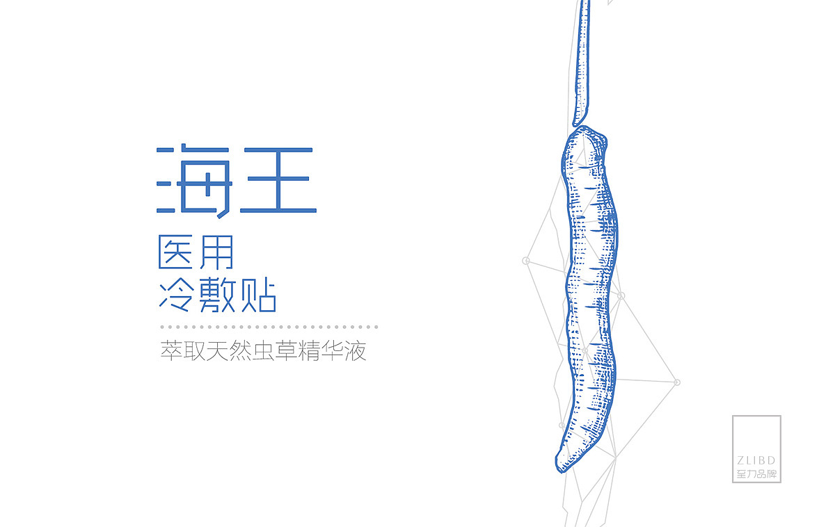 海王—虫草医用冷敷贴包装设计
