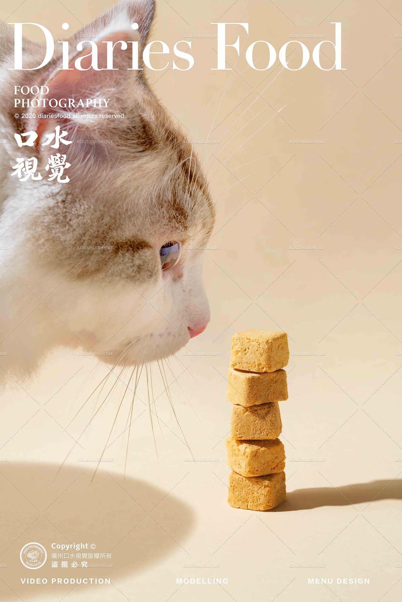 电商产品拍摄 | 朗诺冻干猫粮 X 口水视觉