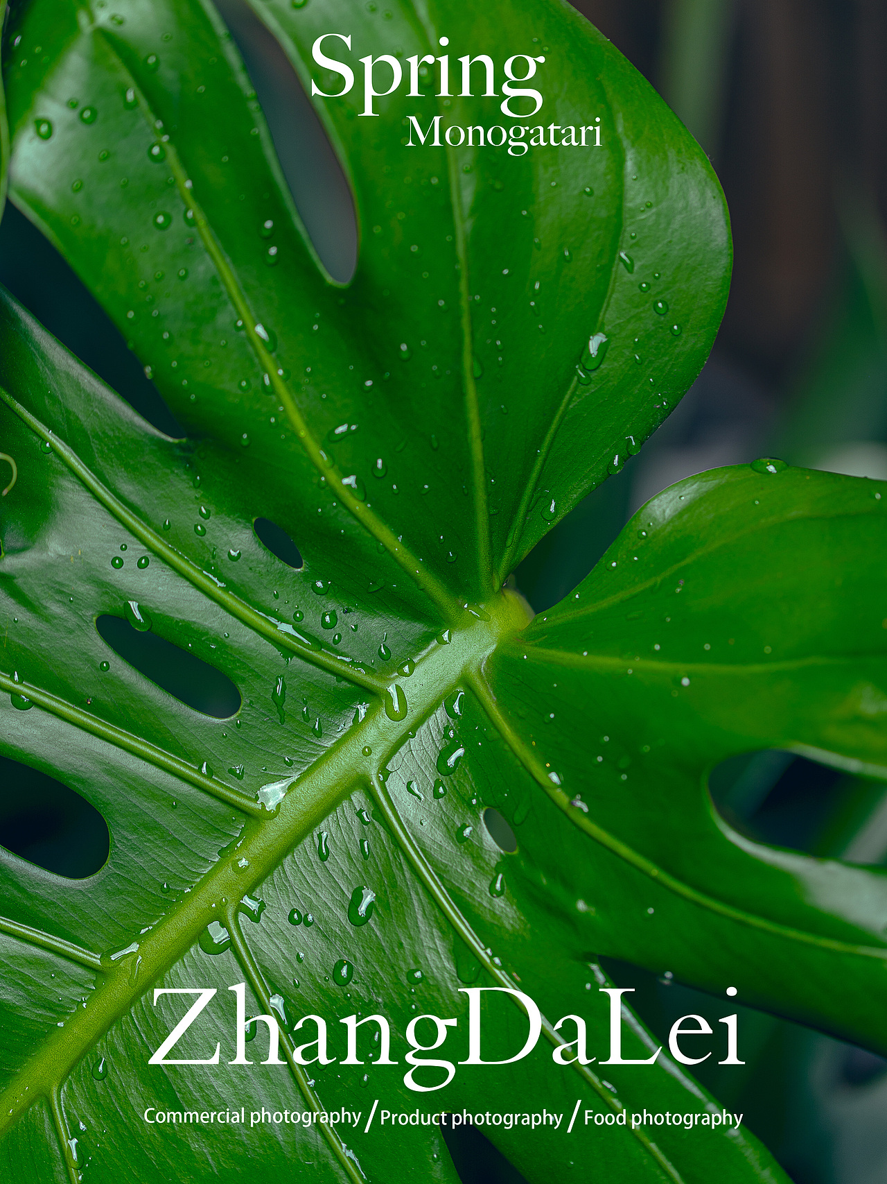 春天物语（图ZMzY2MzgwOTk2） - 其他摄影 - 站酷设计师子菲门视觉原创素材 - 站酷ZCOOL