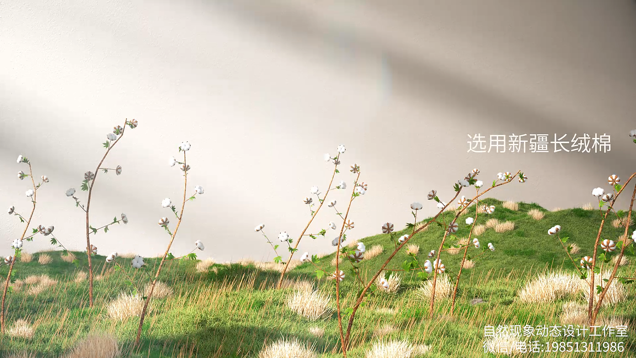 动态设计 个人作品 nature棉袜 Houdini C4D Octane