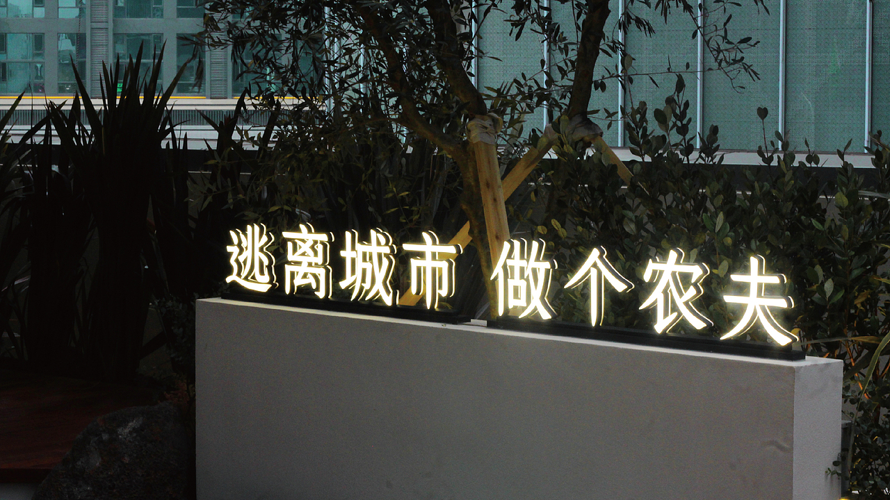 印象农夫——城市里回归自然的餐厅体验