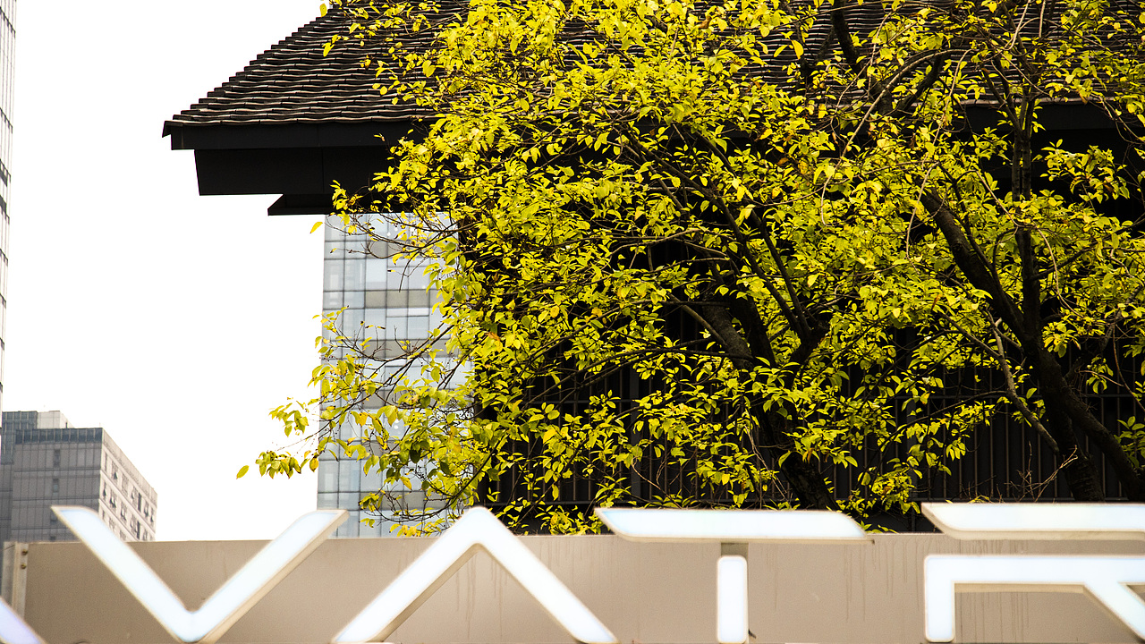 成都太古里随行笔记