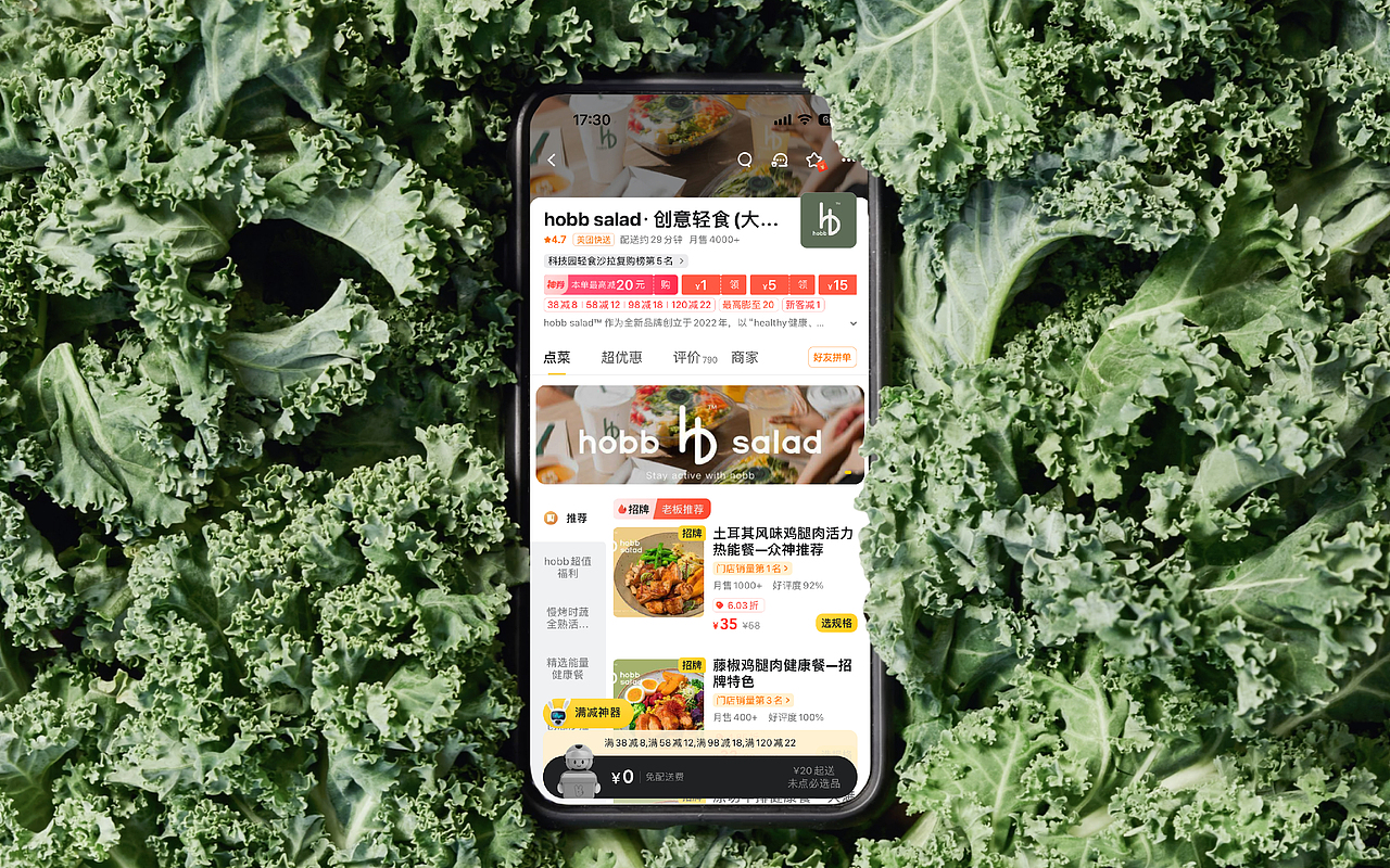 hobb salad｜属于年轻人的轻食沙拉（图ZMzYzOTA3MTg4） - 品牌 - 站酷设计师Ganganstudio原创素材 - 站酷ZCOOL