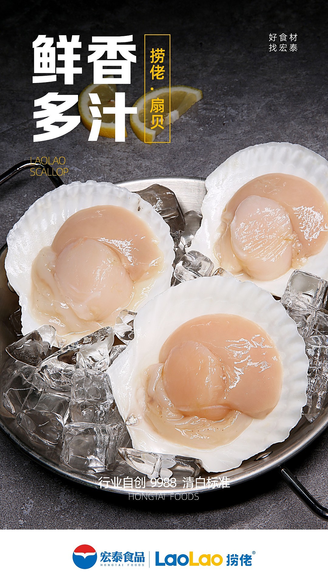 海鲜扇贝产品拍摄