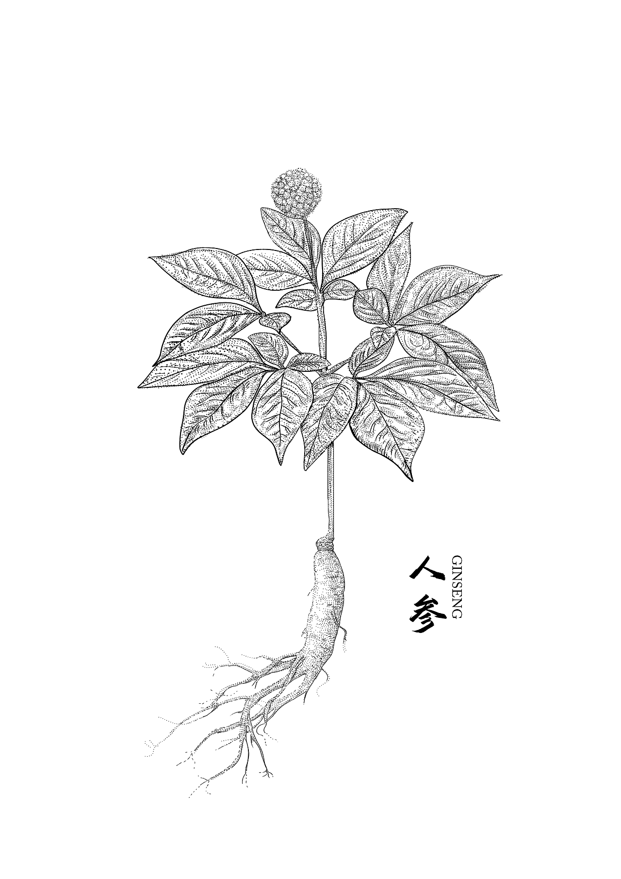 魁（图ZMzA3MDkzNTYw） - 艺术插画 - 站酷设计师阿道插画原创素材 - 站酷ZCOOL