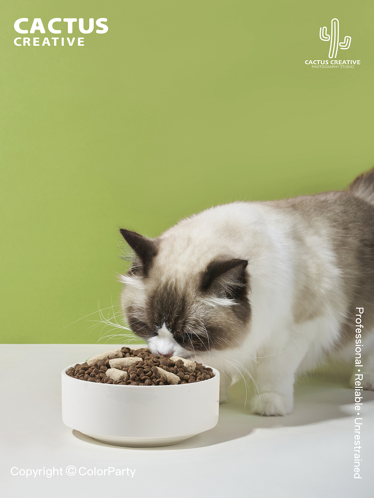 猫粮产品摄影｜小壳轻松牧场猫粮（图ZMzE1NTkxMDYw） - 产品摄影 - 站酷设计师仙人掌花园原创素材 - 站酷ZCOOL