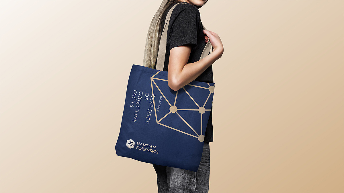 logo,设计公司,品牌设计,专业VI公司 | 南天司法鉴定所（图ZMzUxNTk5Njc2） - Logo - 站酷设计师尼高品牌设计原创素材 - 站酷ZCOOL