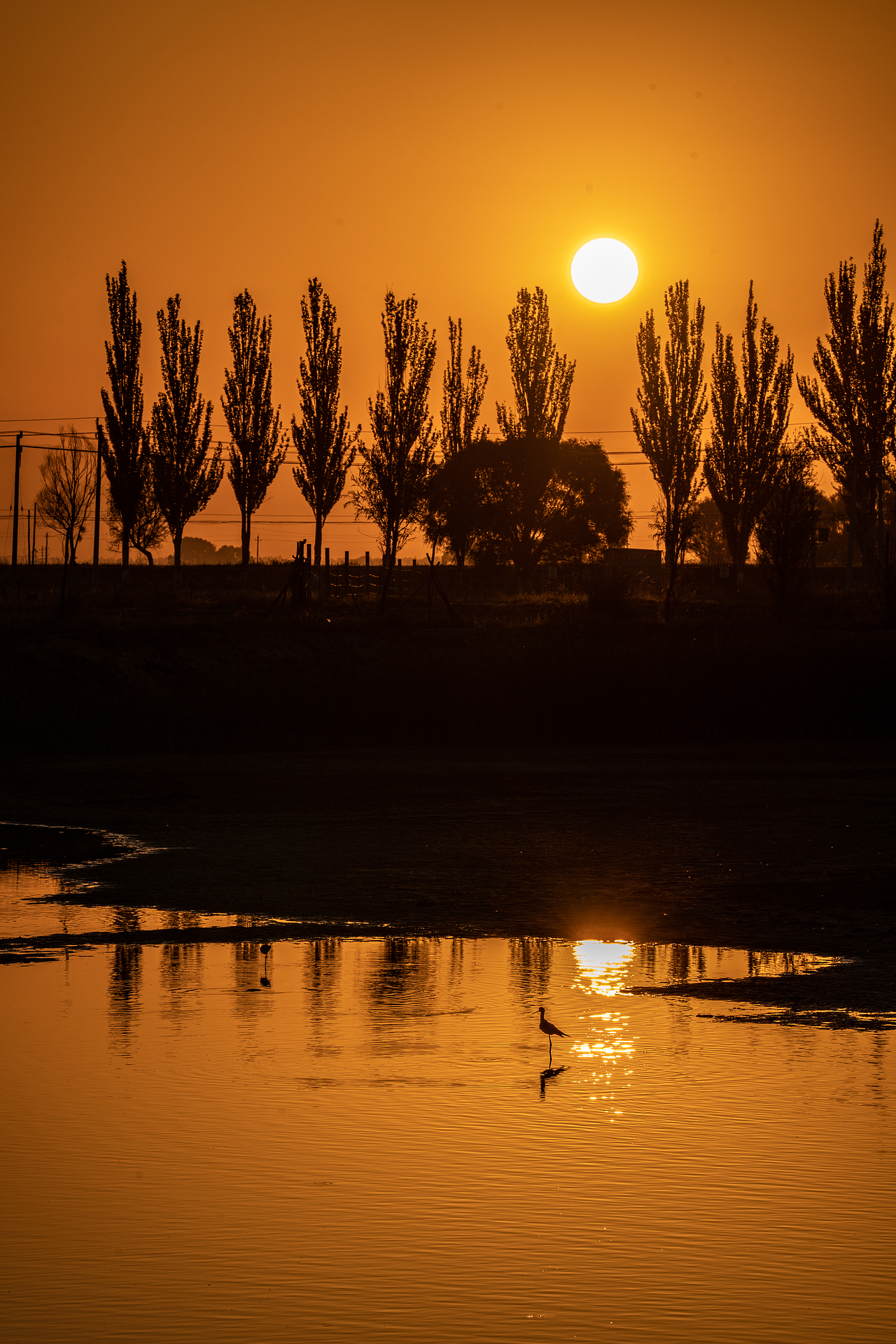 北疆风光——内蒙古（图ZMzEwNzMyMDc2） - 风光摄影 - 站酷设计师WXJ23原创素材 - 站酷ZCOOL